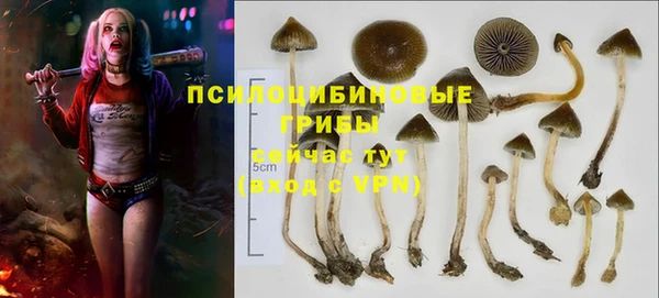 эйфоретик Балахна