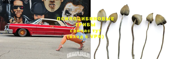 эйфоретик Балахна