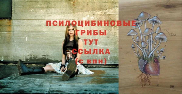 дурь Баксан