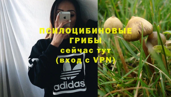 молекула духа Балабаново