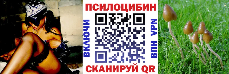 Псилоцибиновые грибы мицелий  Сегежа 